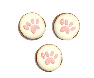 Test de produit : Biscuits pour chien mon Pacha