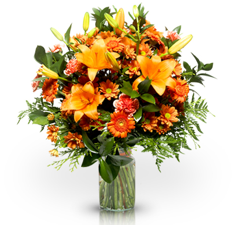 Floraqueen coupon code