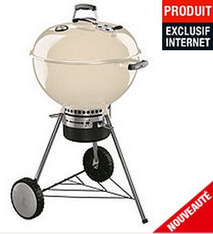 barbecue weber but