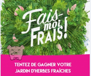 ./images/jeux-concours/md/100354.jpg
