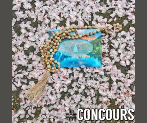 ./images/jeux-concours/md/100679.jpg
