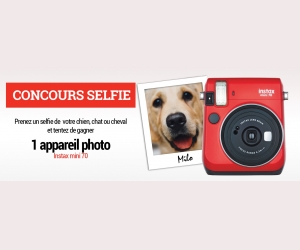 ./images/jeux-concours/md/102530.jpg