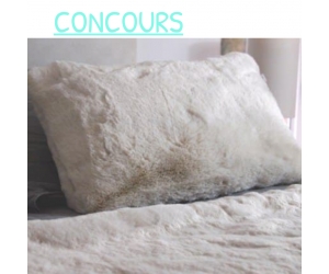 ./images/jeux-concours/md/103732.jpg
