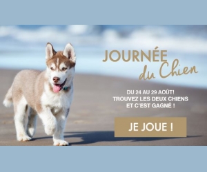 ./images/jeux-concours/md/103932.jpg