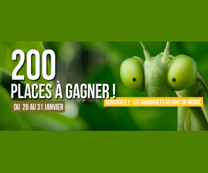 ./images/jeux-concours/md/106811.png