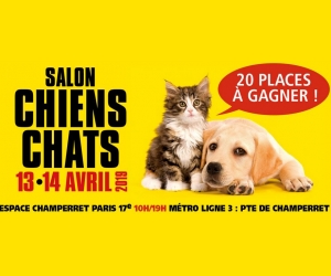 ./images/jeux-concours/md/107955.jpg