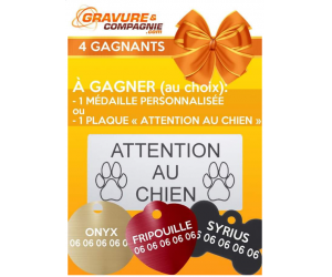 ./images/jeux-concours/md/108396.png