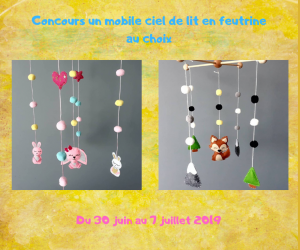 ./images/jeux-concours/md/109324.png