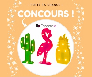 ./images/jeux-concours/md/109560.jpg