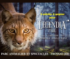 ./images/jeux-concours/md/109578.jpg