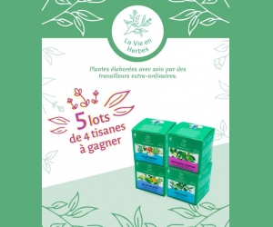 ./images/jeux-concours/md/110271.jpg