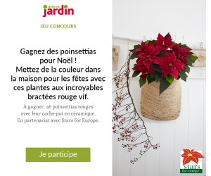./images/jeux-concours/md/111116.png