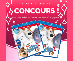 ./images/jeux-concours/md/111317.png