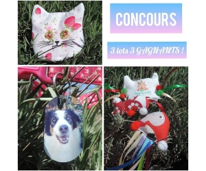 ./images/jeux-concours/md/112493.jpg