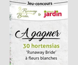 ./images/jeux-concours/md/112504.jpg