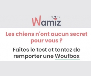 ./images/jeux-concours/md/112518.jpg