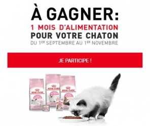 ./images/jeux-concours/md/113293.jpg