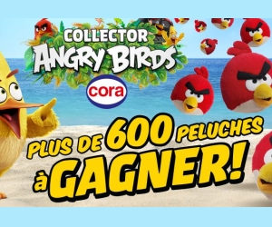 ./images/jeux-concours/md/113316.jpg