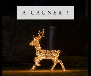 ./images/jeux-concours/md/113487.png