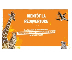 ./images/jeux-concours/md/114513.jpg