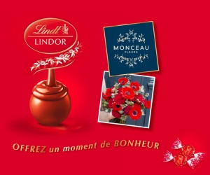 ./images/jeux-concours/md/115379.jpg