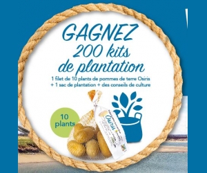 ./images/jeux-concours/md/115436.jpg