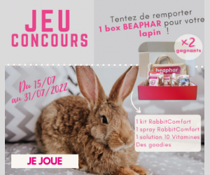 ./images/jeux-concours/md/115767.png