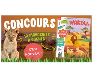 ./images/jeux-concours/md/115776.jpg