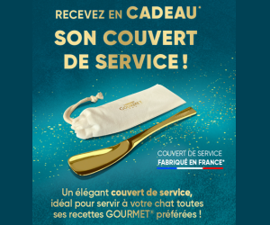 ./images/jeux-concours/md/115946.png
