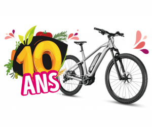 ./images/jeux-concours/md/116278.png