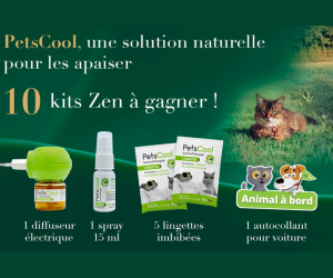 ./images/jeux-concours/md/116367.png