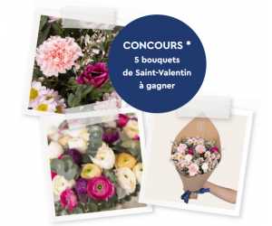 ./images/jeux-concours/md/116781.png