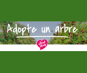 ./images/jeux-concours/md/116822.png