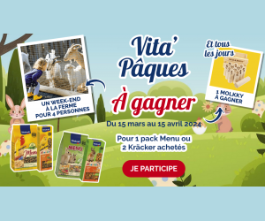 ./images/jeux-concours/md/116889.png