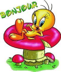 ./images/uploadMembre/116009/bon-plan/21477.jpg