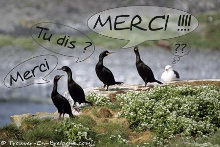 ./images/uploadMembre/1254/bon-plan/19132.jpg