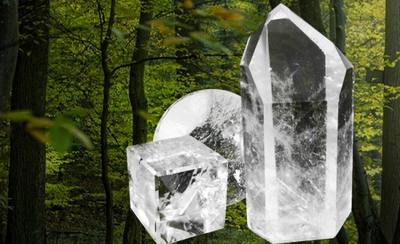 Cristal Forest : Boutique en ligne de Lithothérapie - Pierres et