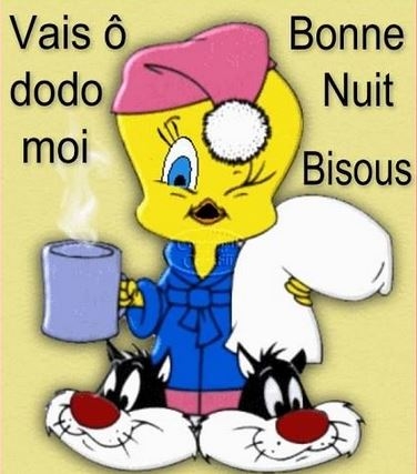 Image Drole Bonne Nuit Bisous