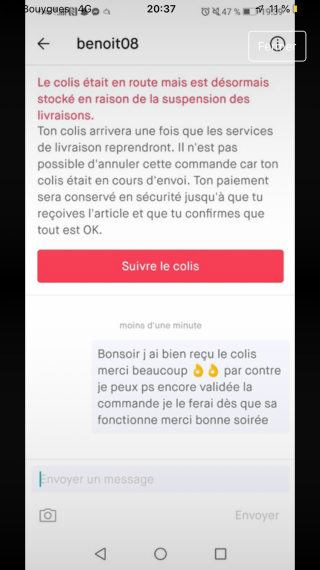 Vinted vente online annulée