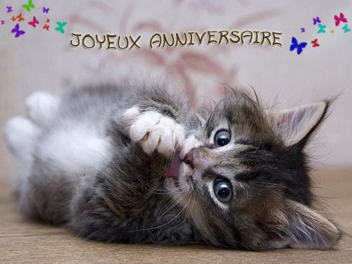 ./images/uploadMembre/49706/bon-plan/19479.jpg