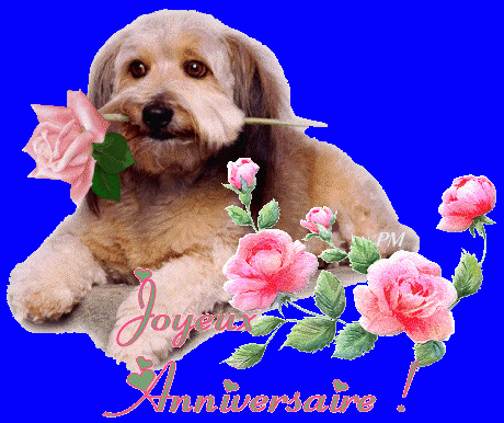 ./images/uploadMembre/51619/bon-plan/5201.gif