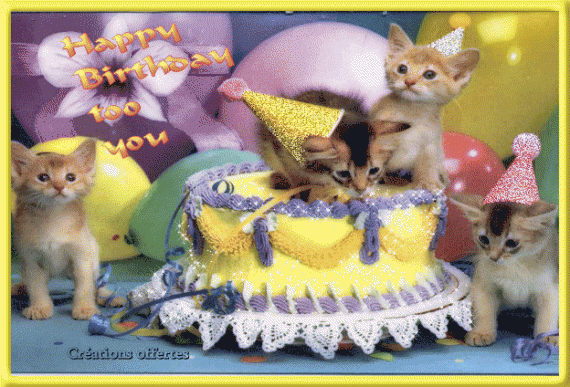 ./images/uploadMembre/51619/bon-plan/981.gif