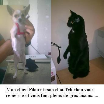 ./images/uploadMembre/54963/bon-plan/4034.jpg