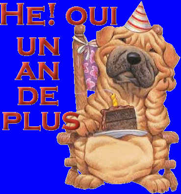 ./images/uploadMembre/58842/bon-plan/8669.gif