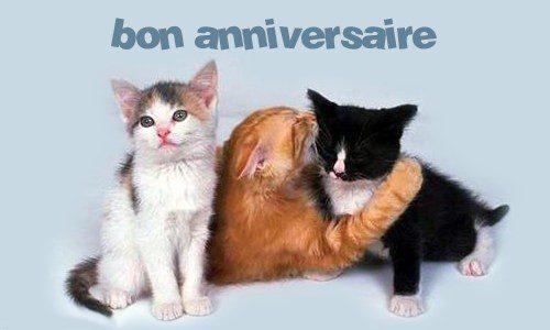 ./images/uploadMembre/59648/bon-plan/5752.jpg