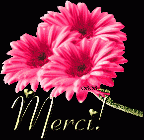./images/uploadMembre/61696/bon-plan/3888.gif