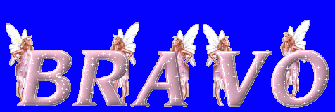 ./images/uploadMembre/63248/bon-plan/4070.gif