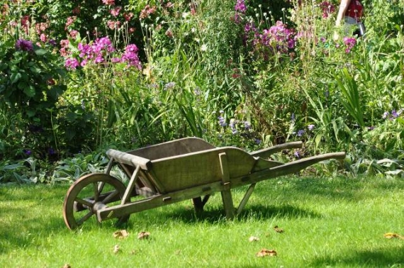 éliminer les mauvaises herbes du potager