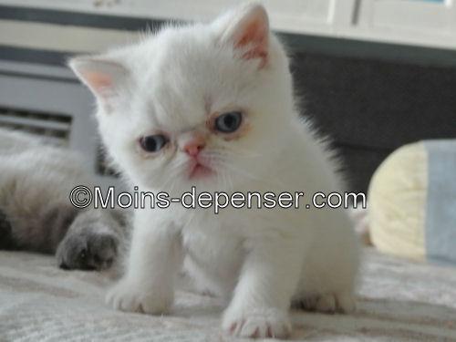 ./images/uploadMembre/646/bon-plan/26276.jpg