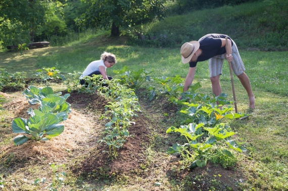 cultiver jardin en permaculture